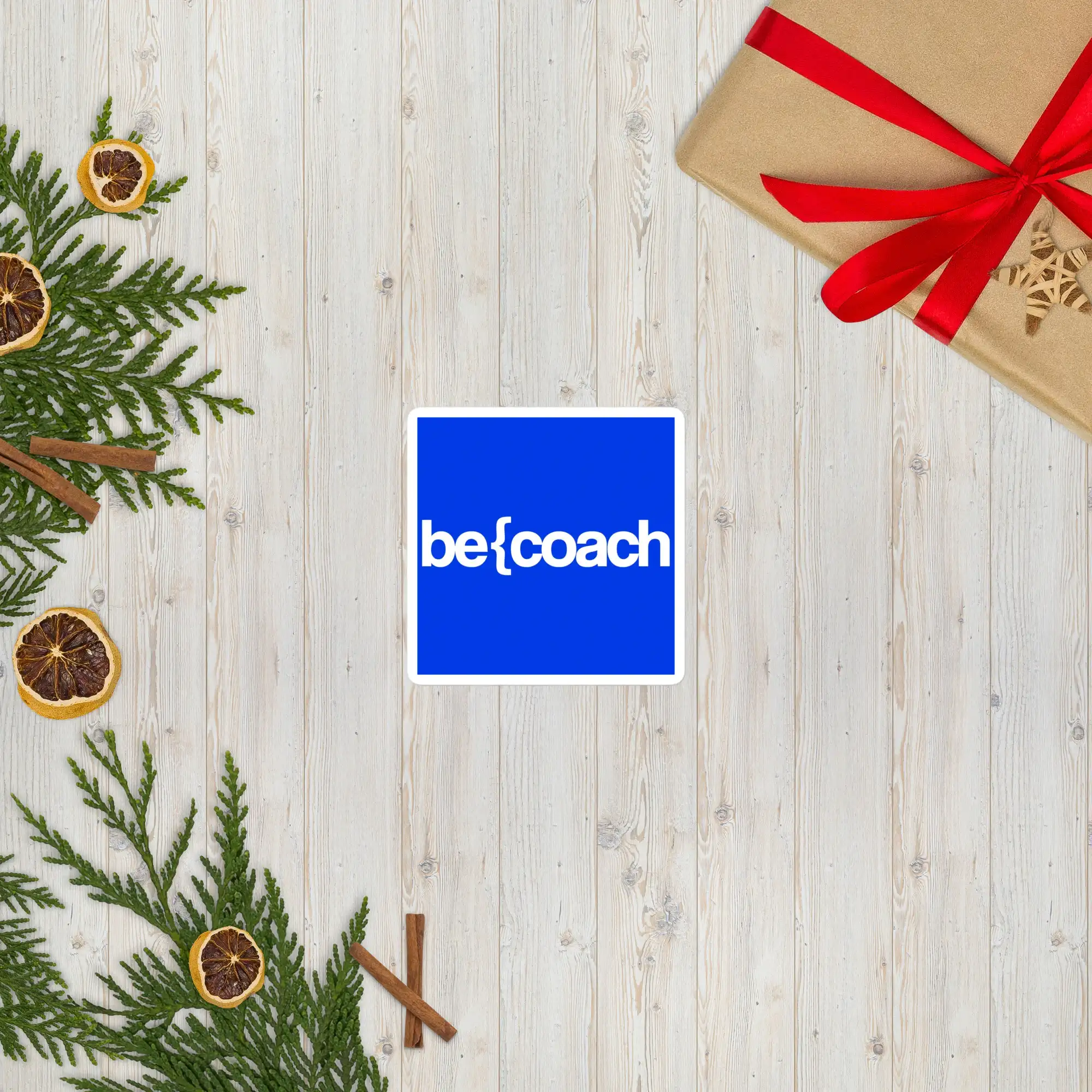 Formation BECOACH ambassadeur