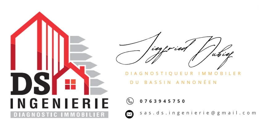 DS INGENIERIE