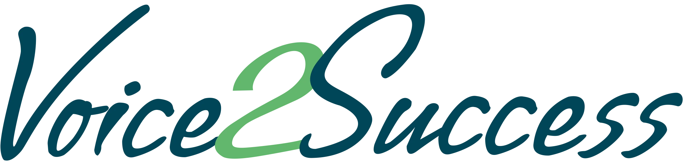 Voice2success