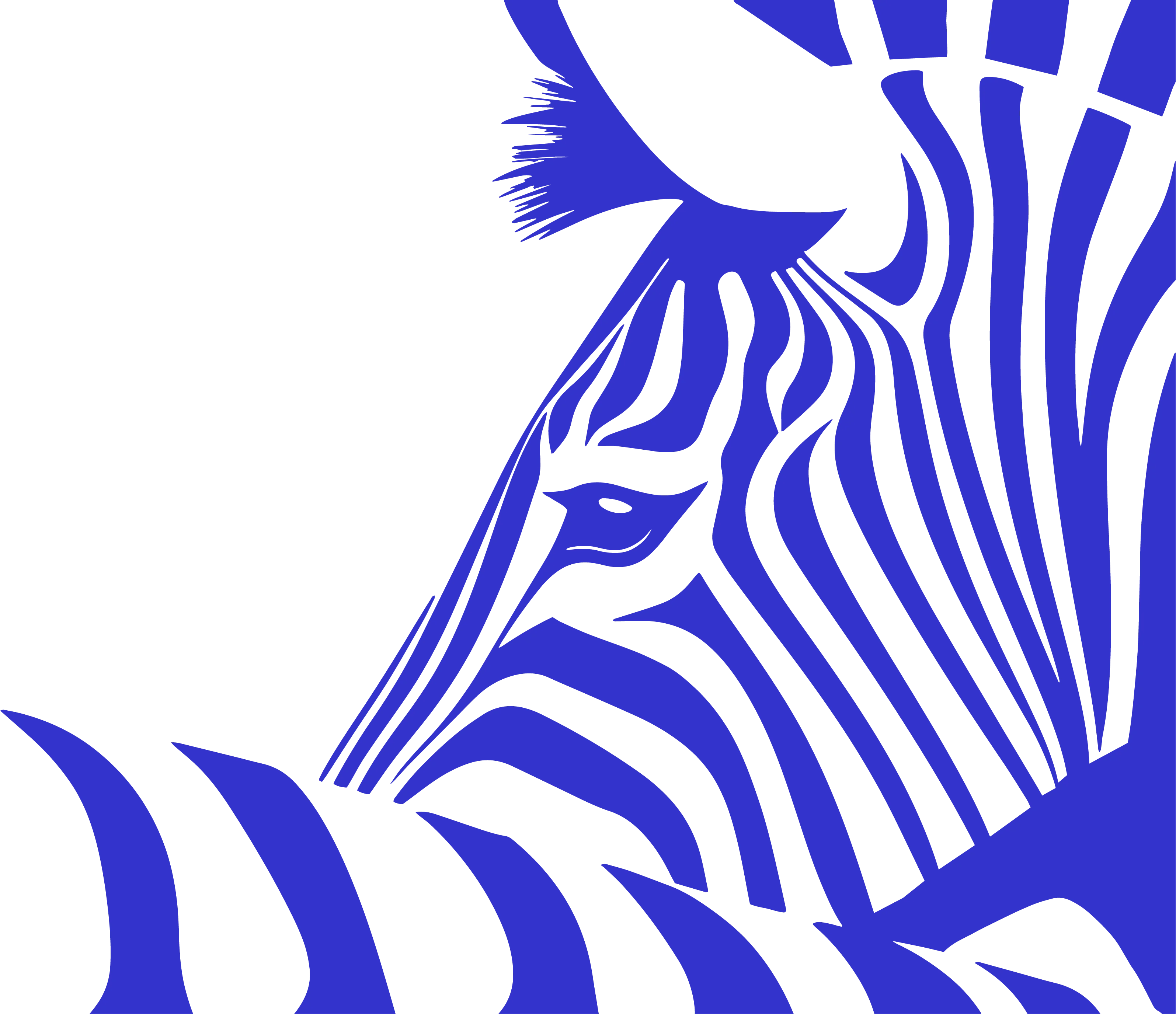 Agence Zèbre Bleu